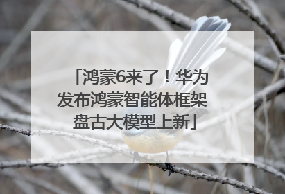 鸿蒙6来了！华为发布鸿蒙智能体框架 盘古大模型上新
