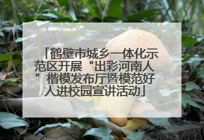 鹤壁市城乡一体化示范区开展“出彩河南人”楷模发布厅暨模范好人进校园宣讲活动