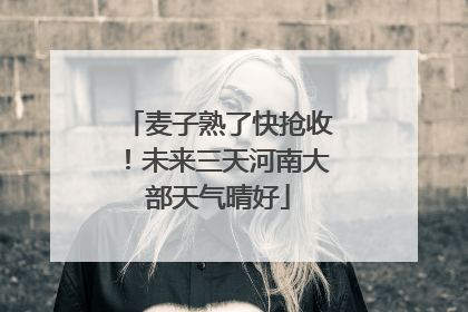 麦子熟了快抢收！未来三天河南大部天气晴好
