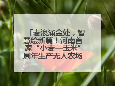 麦浪涌金处，智慧绘新篇！河南首家“小麦—玉米”周年生产无人农场喜迎丰收