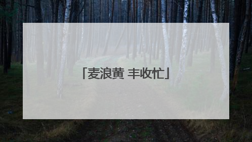 麦浪黄 丰收忙