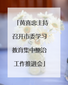 黄喜忠主持召开市委学习教育集中整治工作推进会