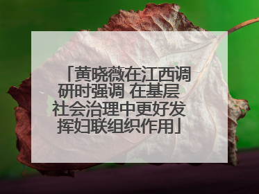黄晓薇在江西调研时强调 在基层社会治理中更好发挥妇联组织作用