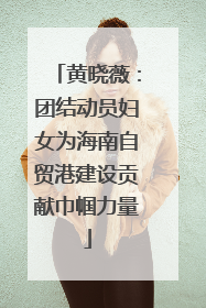 黄晓薇：团结动员妇女为海南自贸港建设贡献巾帼力量