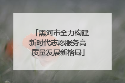黑河市全力构建新时代志愿服务高质量发展新格局
