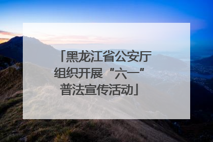 黑龙江省公安厅组织开展“六一”普法宣传活动