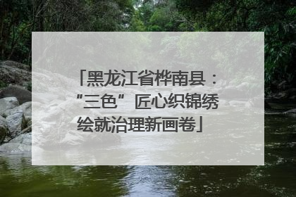 黑龙江省桦南县：“三色”匠心织锦绣 绘就治理新画卷