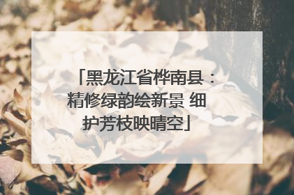 黑龙江省桦南县：精修绿韵绘新景 细护芳枝映晴空