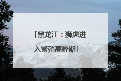 黑龙江：狮虎进入繁殖高峰期
