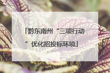 黔东南州“三项行动”优化招投标环境