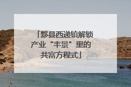 黟县西递镇解锁产业“丰景”里的共富方程式