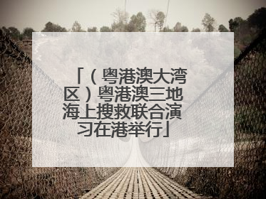 （粤港澳大湾区）粤港澳三地海上搜救联合演习在港举行