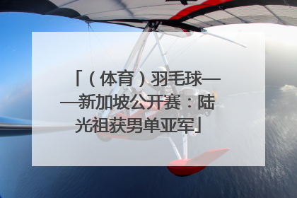 （体育）羽毛球——新加坡公开赛：陆光祖获男单亚军