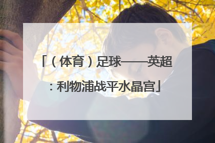 （体育）足球——英超：利物浦战平水晶宫
