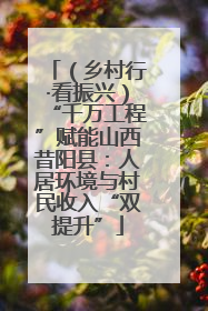 （乡村行·看振兴）“千万工程”赋能山西昔阳县：人居环境与村民收入“双提升”