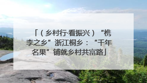 （乡村行·看振兴）“槜李之乡”浙江桐乡：“千年名果”铺就乡村共富路