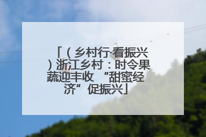 （乡村行·看振兴）浙江乡村：时令果蔬迎丰收 “甜蜜经济”促振兴