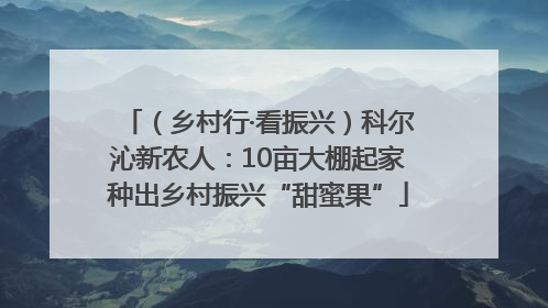 （乡村行·看振兴）科尔沁新农人：10亩大棚起家种出乡村振兴“甜蜜果”