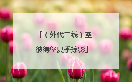 （外代二线）圣彼得堡夏季掠影