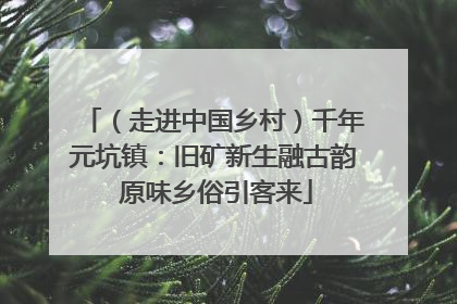 （走进中国乡村）千年元坑镇：旧矿新生融古韵 原味乡俗引客来