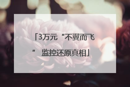 3万元“不翼而飞” 监控还原真相