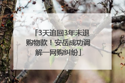 3天追回3年未退购物款！安岳成功调解一网购纠纷