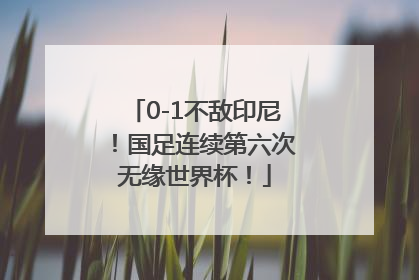 0-1不敌印尼！国足连续第六次无缘世界杯！