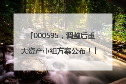 000595，调整后重大资产重组方案公布！