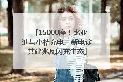 15000座！比亚迪与小桔充电、新电途共建兆瓦闪充生态
