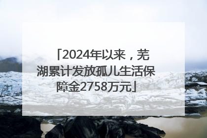 2024年以来，芜湖累计发放孤儿生活保障金2758万元