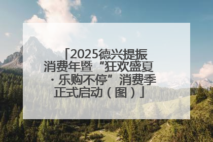 2025德兴提振消费年暨“狂欢盛夏・乐购不停”消费季正式启动（图）