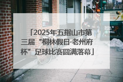 2025年五指山市第三届“桐林假日·老州府杯”足球比赛圆满落幕