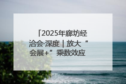 2025年廊坊经洽会·深度｜放大“会展+”乘数效应 打造消费新场景