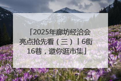 2025年廊坊经洽会亮点抢先看（三）丨6街16巷，邀你逛市集