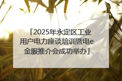 2025年永定区工业用户电力座谈培训暨电e金服推介会成功举办