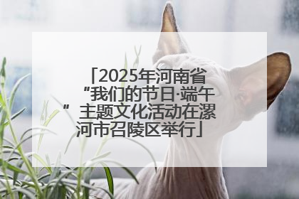 2025年河南省“我们的节日·端午”主题文化活动在漯河市召陵区举行
