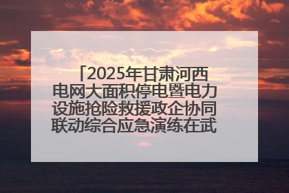 2025年甘肃河西电网大面积停电暨电力设施抢险救援政企协同联动综合应急演练在武威成功举行