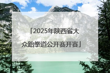 2025年陕西省大众跆拳道公开赛开赛