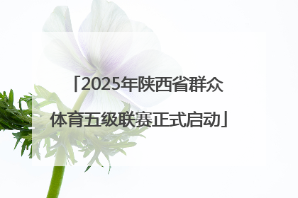 2025年陕西省群众体育五级联赛正式启动