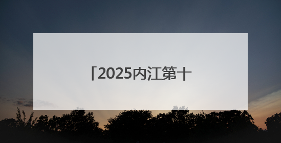 2025内江第十三届大千龙舟经贸文化博览会开幕