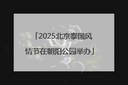 2025北京泰国风情节在朝阳公园举办