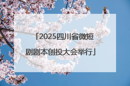 2025四川省微短剧剧本创投大会举行