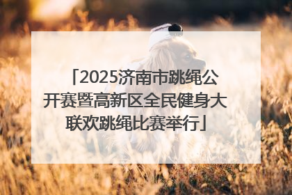 2025济南市跳绳公开赛暨高新区全民健身大联欢跳绳比赛举行