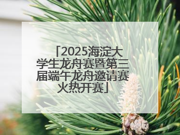 2025海淀大学生龙舟赛暨第三届端午龙舟邀请赛火热开赛