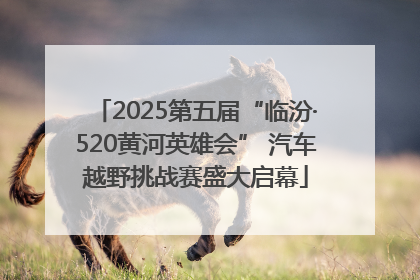 2025第五届“临汾·520黄河英雄会” 汽车越野挑战赛盛大启幕