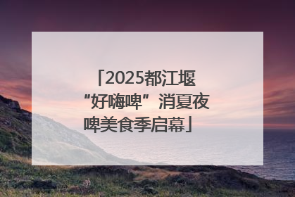 2025都江堰“好嗨啤”消夏夜啤美食季启幕