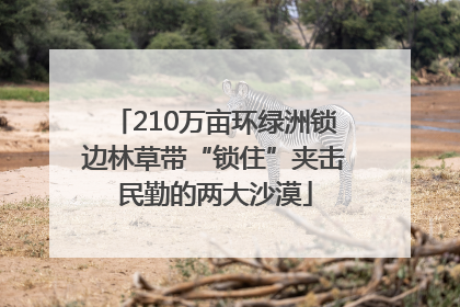 210万亩环绿洲锁边林草带“锁住”夹击民勤的两大沙漠