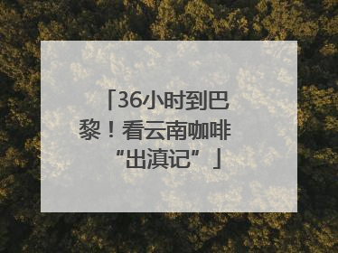 36小时到巴黎！看云南咖啡“出滇记”