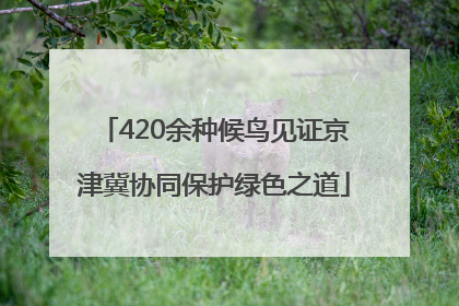 420余种候鸟见证京津冀协同保护绿色之道