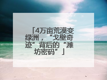 4万亩荒漠变绿洲，“戈壁奇迹”背后的“潍坊密码”